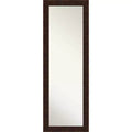 18" x 52" William Narrow Framed Full Length on the Door Mirror Bronze - Amanti Art: Polystyrene Frame, No Assembly Required