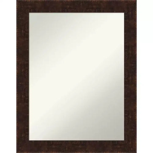 22" x 28" Non-Beveled William Mottled Bronze Narrow Wall Mirror - Amanti Art