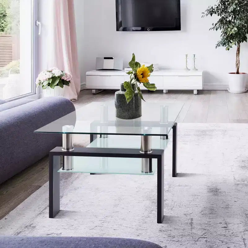 Tavolino Moderno in Vetro con Doppio Ripiano Contenitore e Gambe in Tubo Metallico per Soggiorno o Ufficio