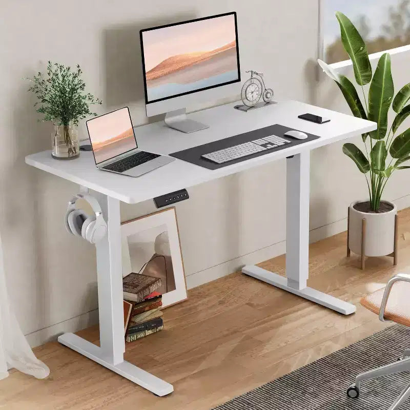 TUYOHW Ergonomic Electric Standing Desk with Height Adjustable 28.7-48,Computer Desk with LED Display,Hooks,Quiet Motor for Home Office