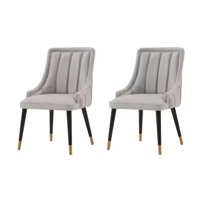 Set of 2 Eda Modern Velvet and Leatherette Upholstered Dining Chairs Gray - Manhattan Comfort